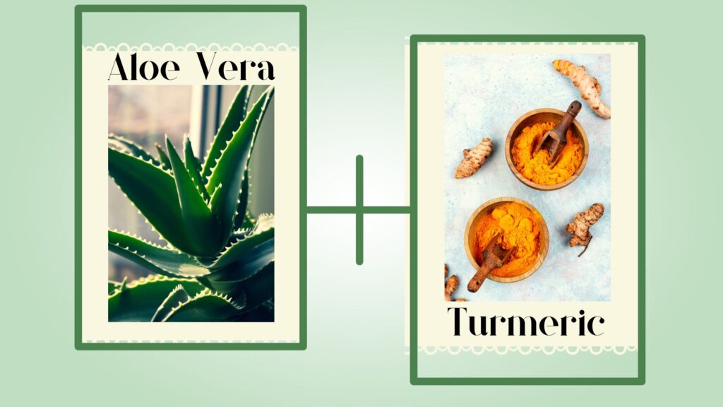 DIY aloe vera turmeric face mask